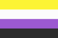 320px-nonbinary_flag.svg_